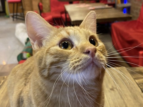 молодой и добрый