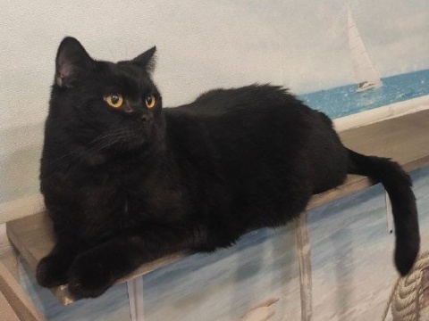 7 кг счастья