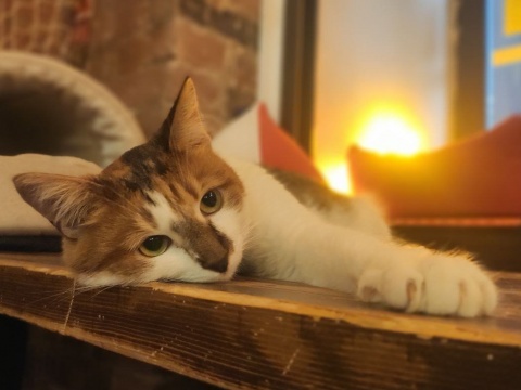 Милая малышка